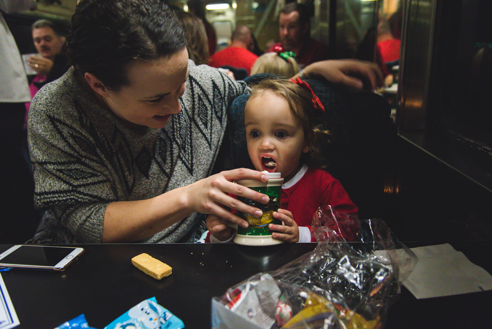 polar express bryson city