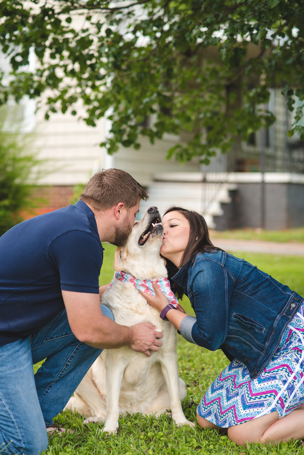 dog with cancer photos